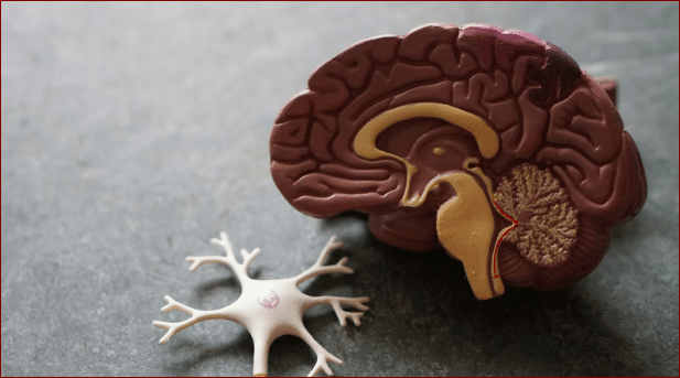 image Ethical considerations in Stem Cell therapy for ALS