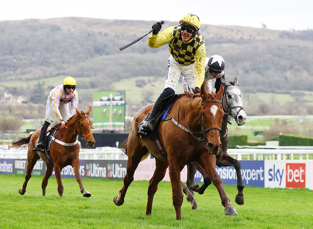 image State Man wins Champions Hurdle at Cheltenham