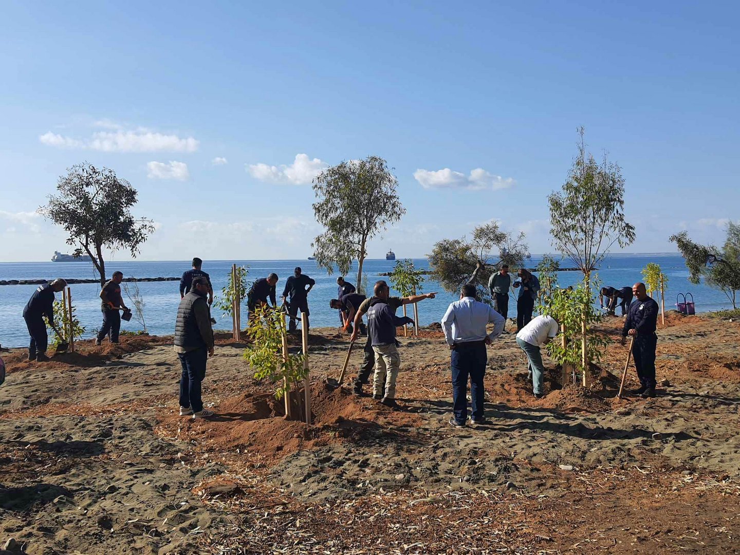 image 100 trees planted in Dasoudi after tornado damage