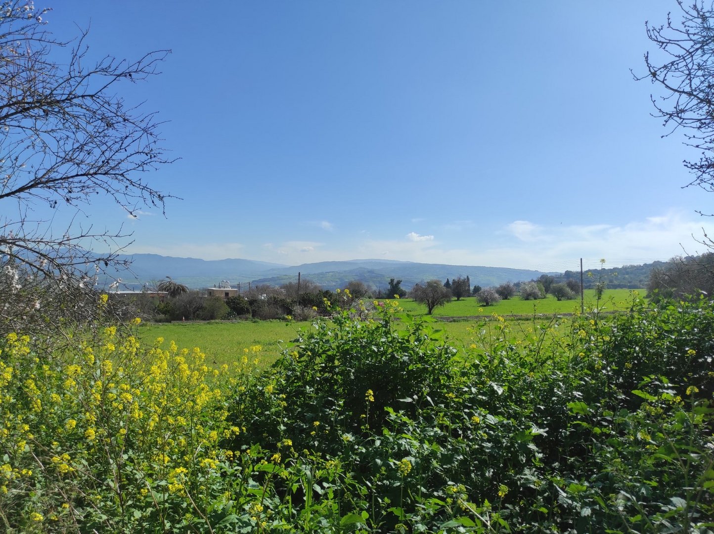 image Today&#8217;s weather: Clear with rising temps
