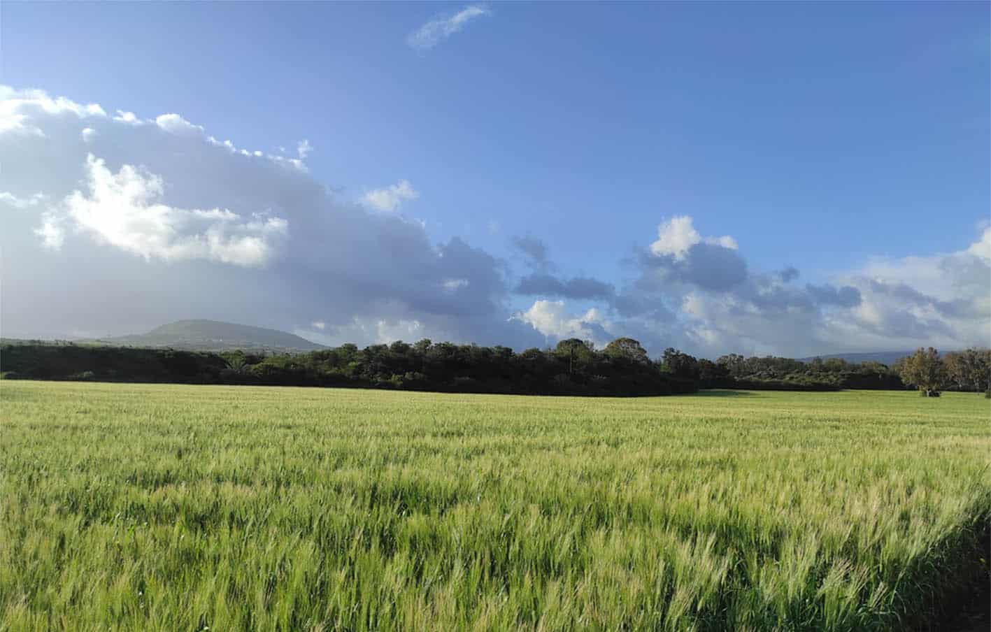 image Today’s weather: Mostly clear and breezy