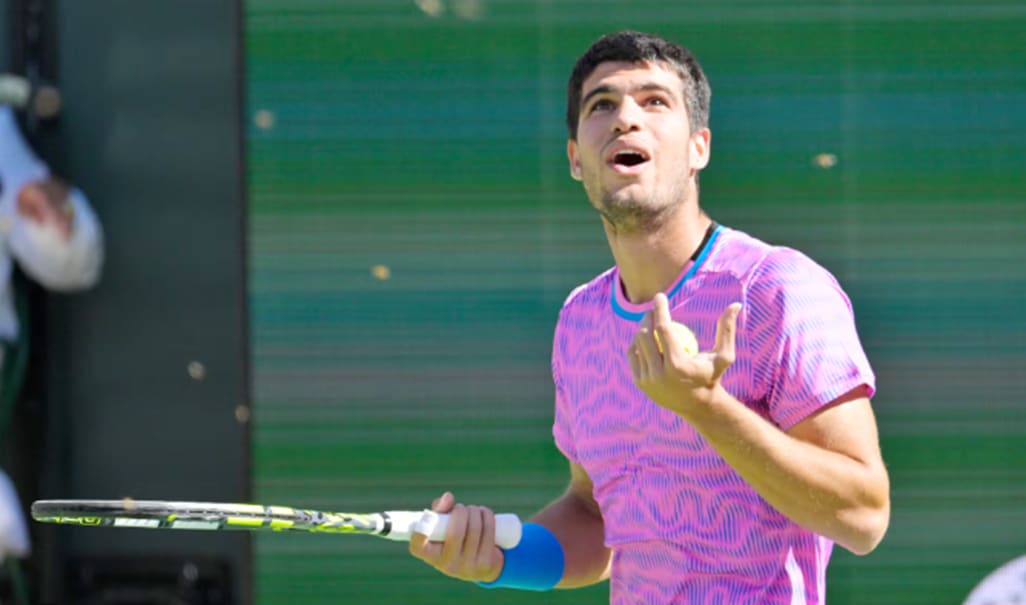 image Stung into action, Alcaraz flees the bees