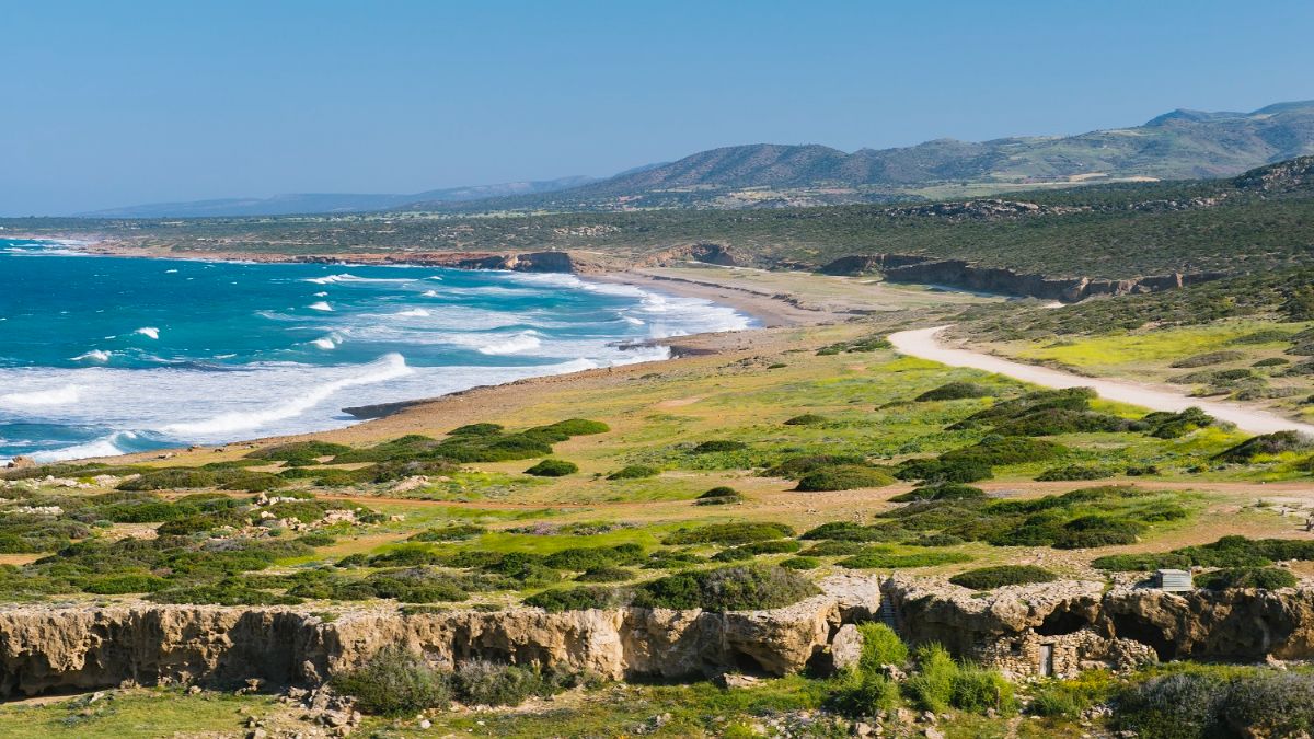 image ‘Akamas debacle will cost Cyprus dearly’