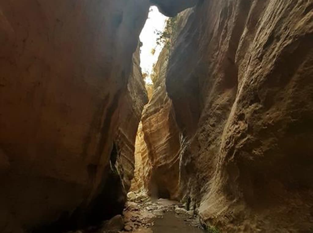 image Paphos nature trail reopens