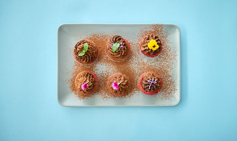 image Guest recipes with LIDL Food Academy