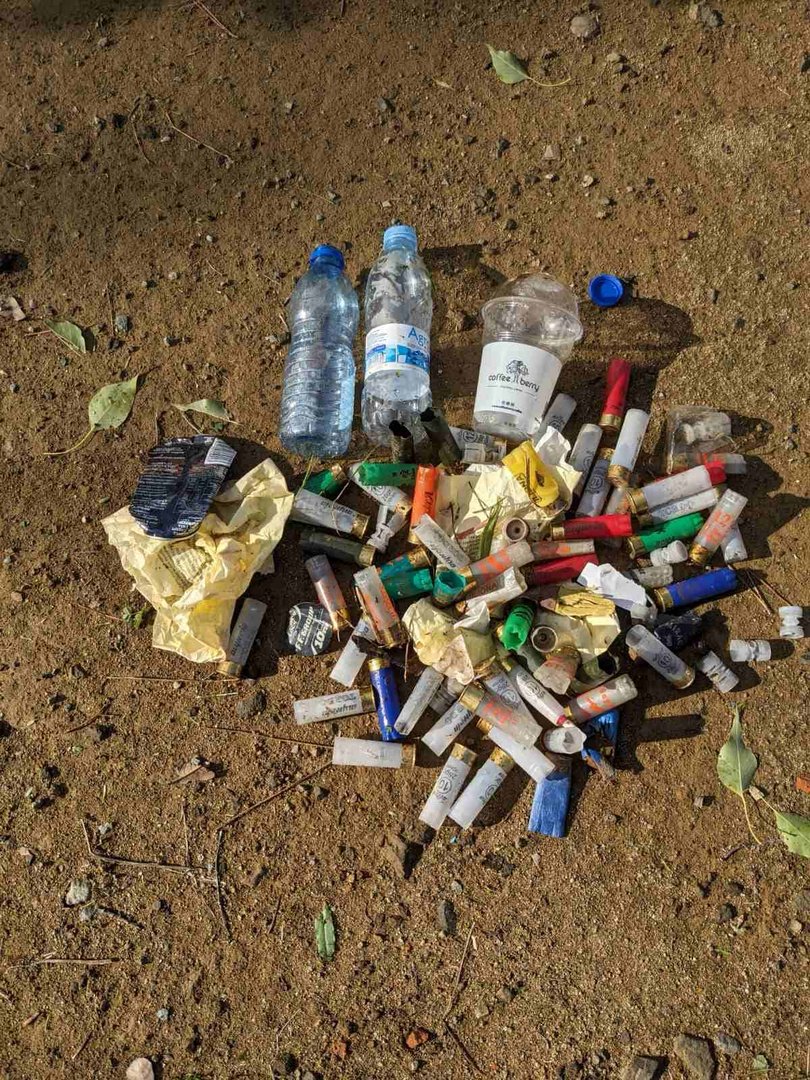 image Hunting leaves countryside littered with shotgun shells