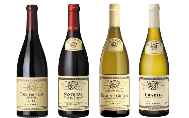 image Large bottles from top wine producing area