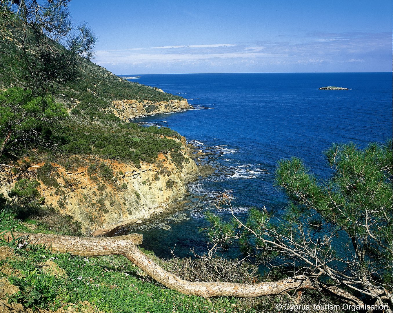 image Akamas road from Baths of Aphrodite to close