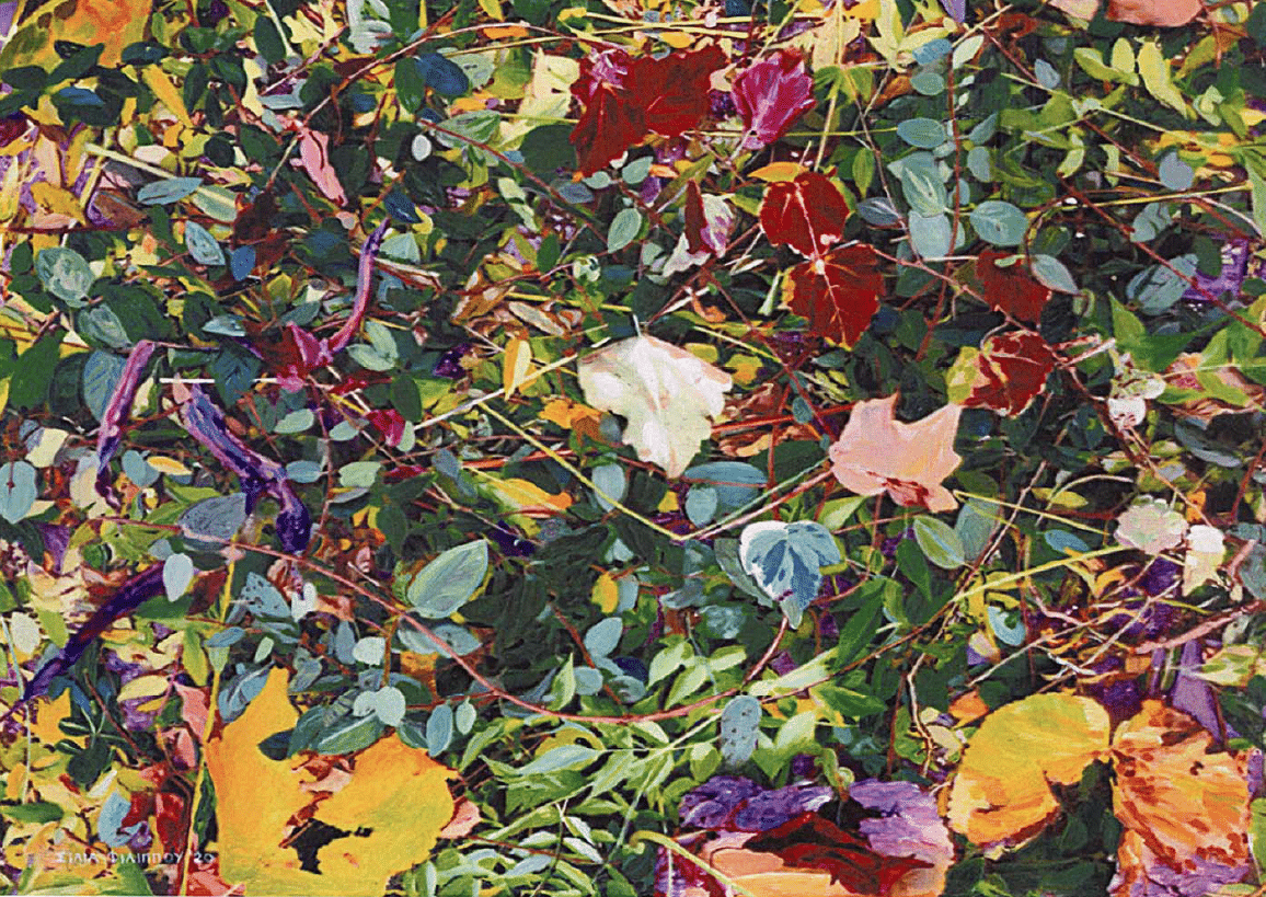 image New exhibitions open around Cyprus