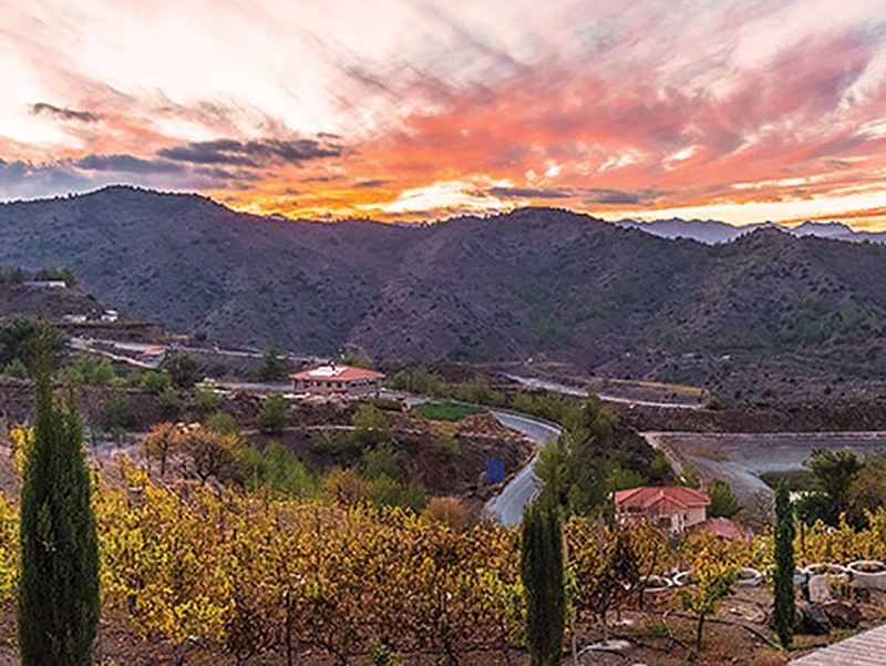 image Getting to core of Cyprus wine industry