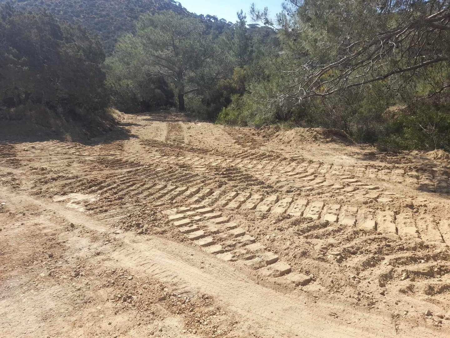 image NGOs call for no further work on Akamas