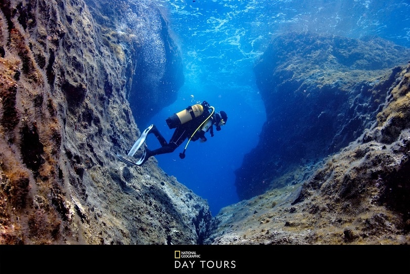 image Celestyal debuts new &#8216;National Geographic Day Tours&#8217;