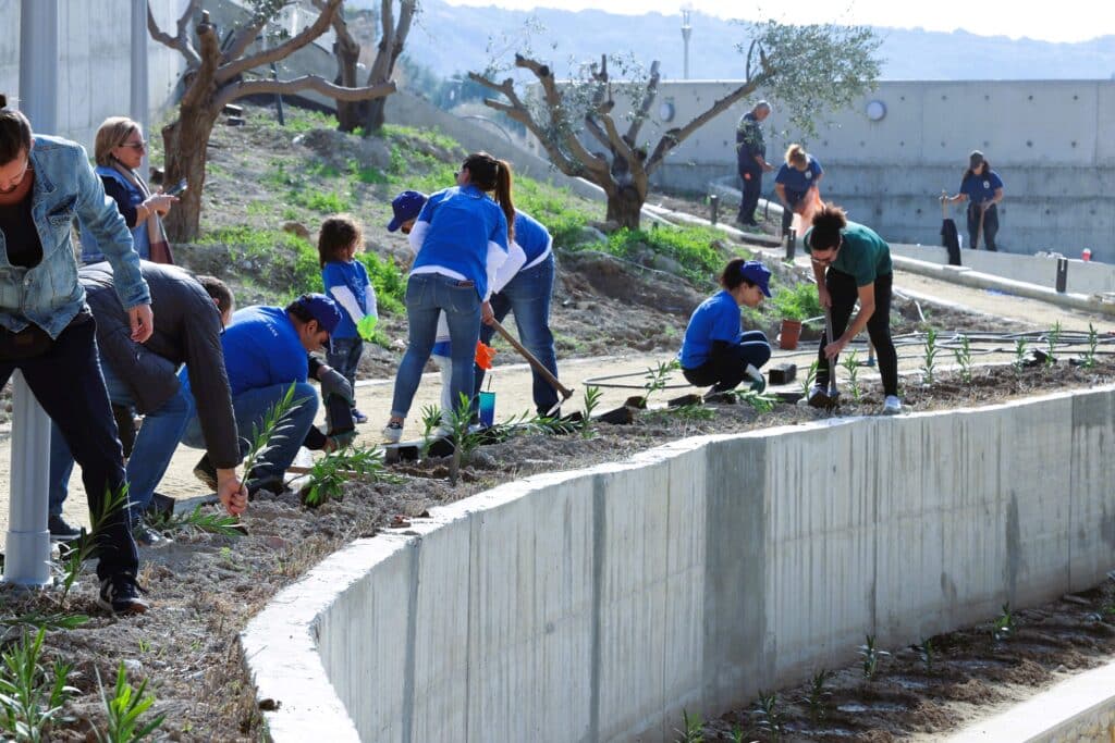 volunteers tree planting