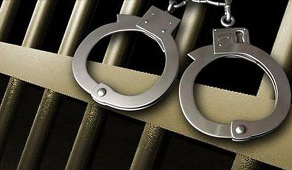 image Four arrested after half a km of fencing stolen from theme park site