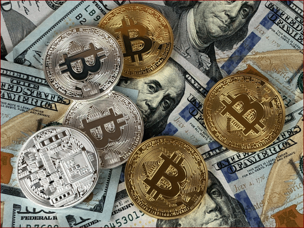 image Cryptoverse: Hold for the halving