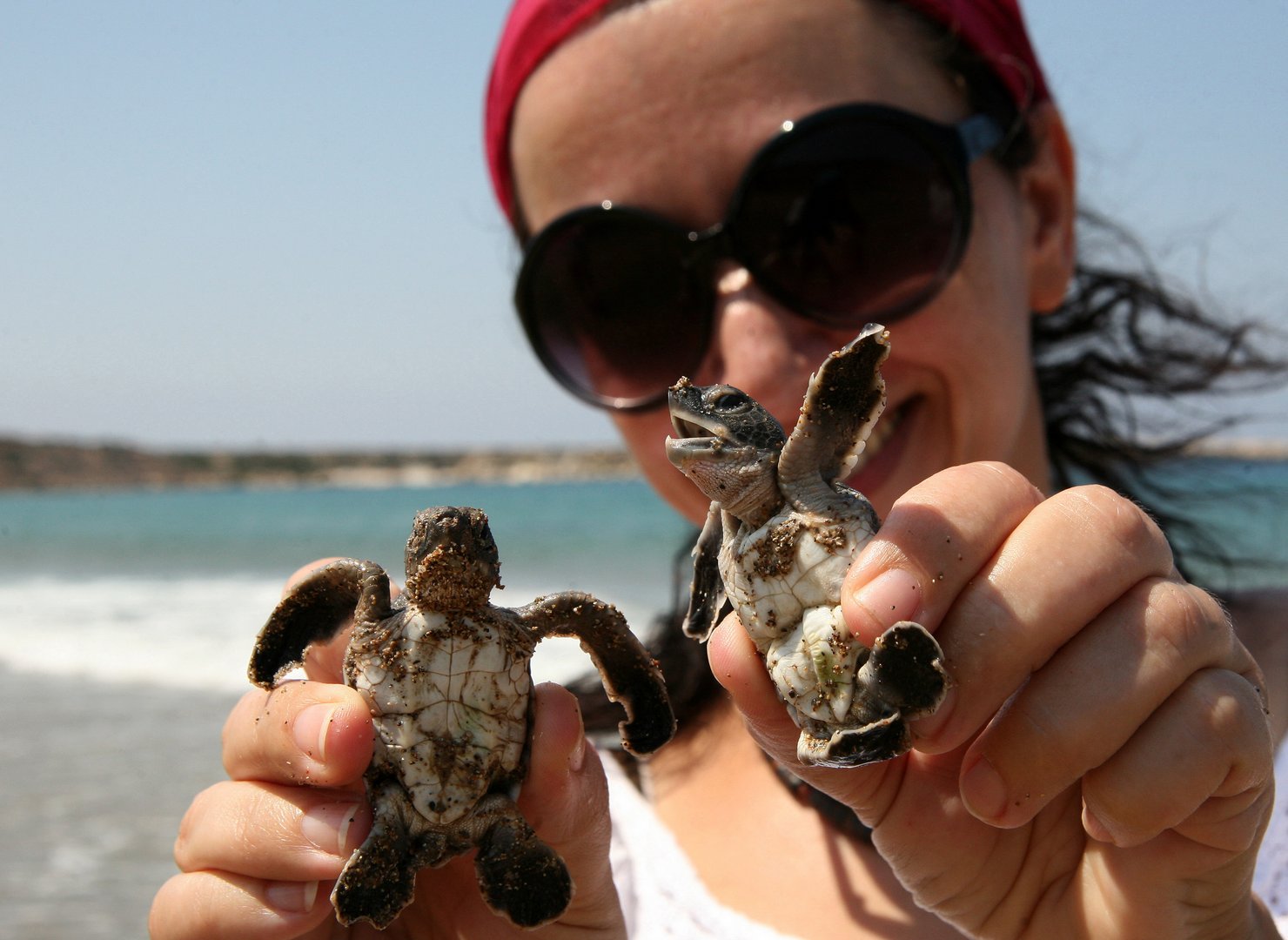 image Environmental action: you can make a real difference