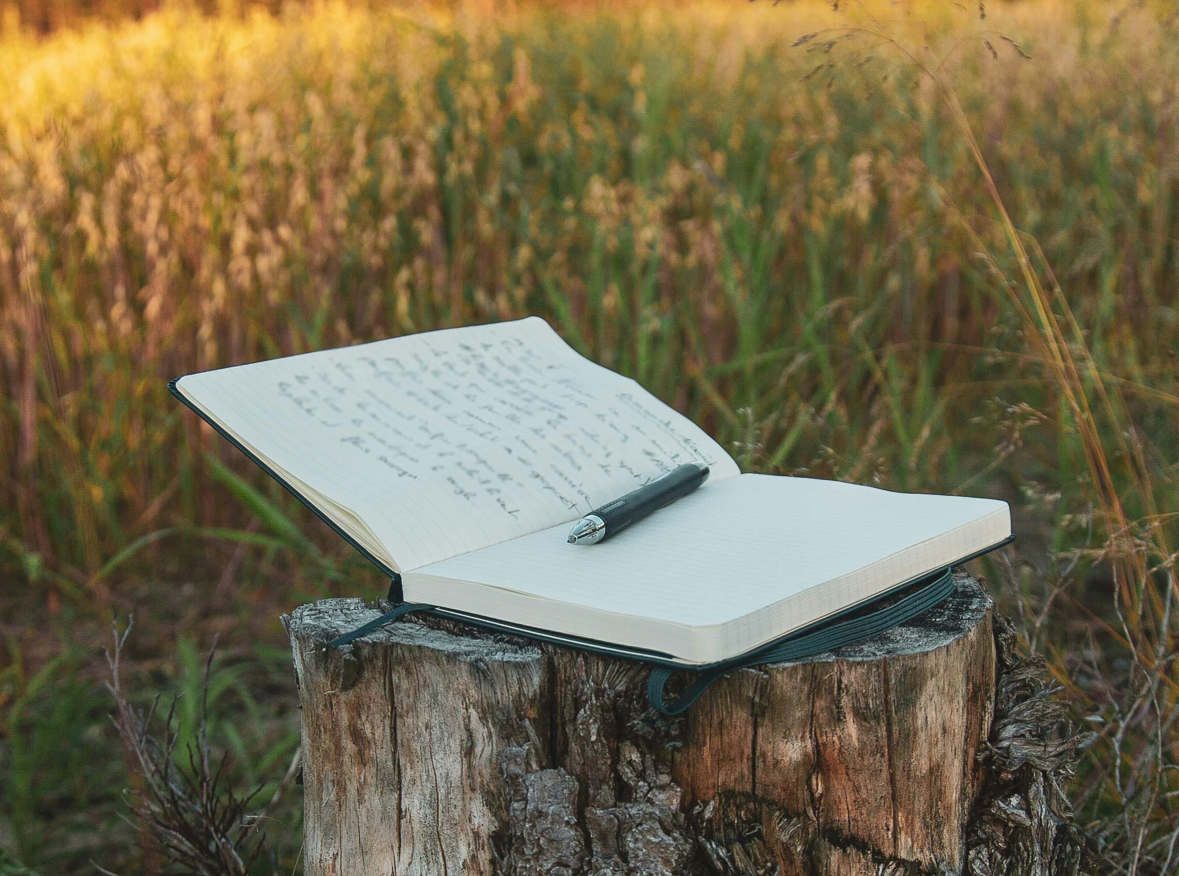 image Reading and writing poems is not a luxury
