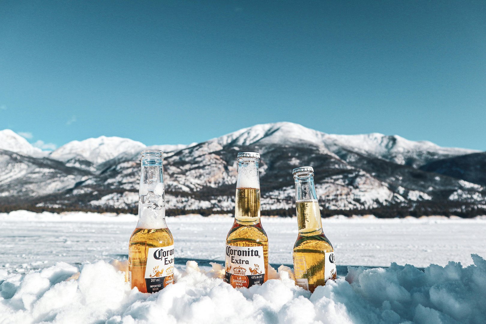 image Corona beer maker Constellation Brands forecasts annual profit above estimates