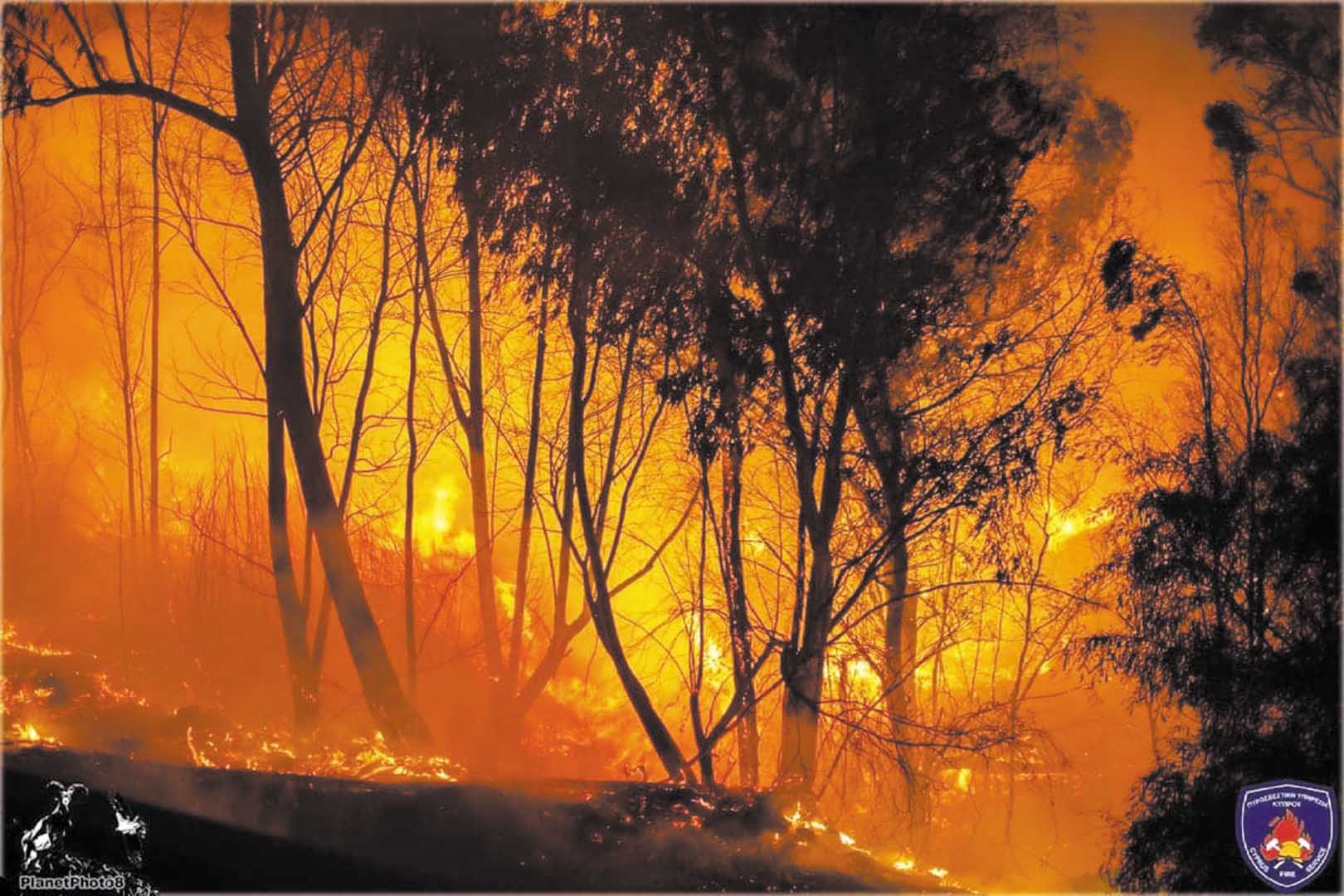image Preparations stepped up ahead of wildfire season