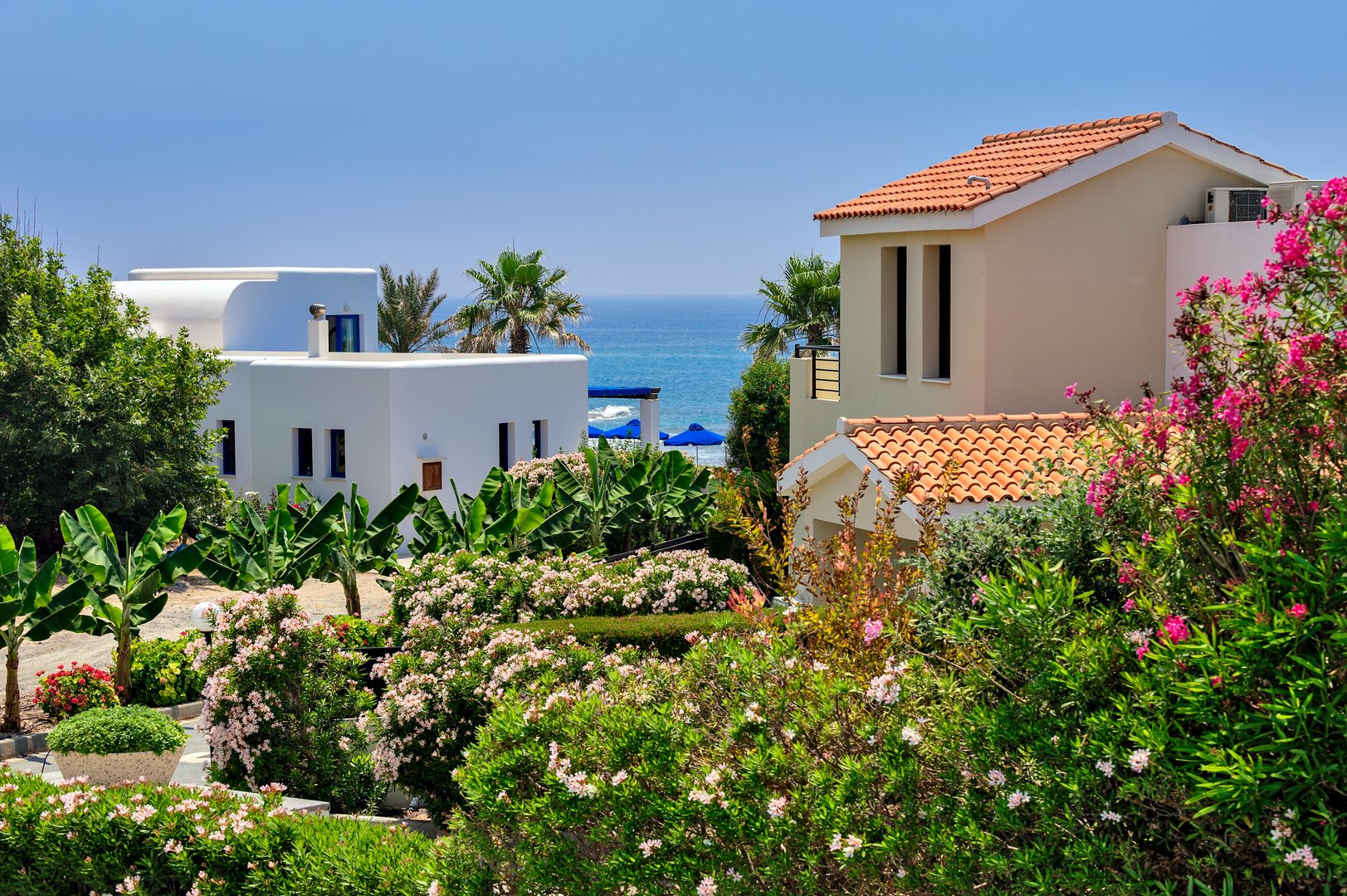 image Cyprus Business Now: weekly wrap-up