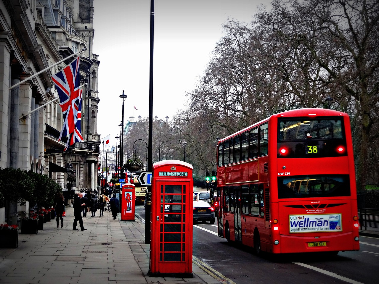 image Horses run amok in central London