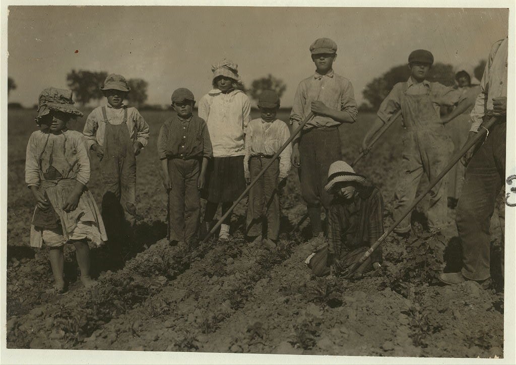 recipes2 workers on the herbert river sugar farms