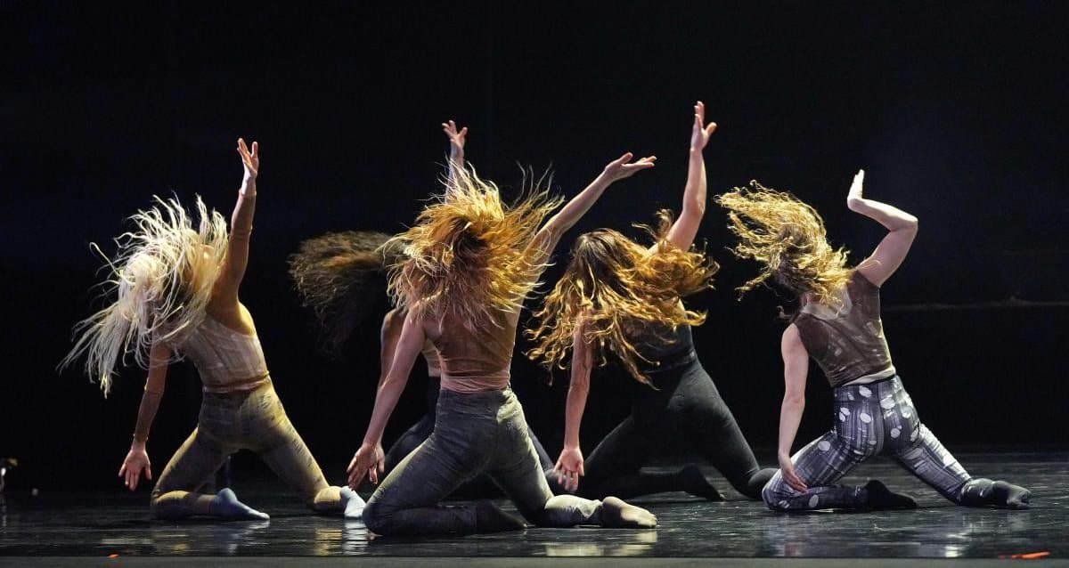 image The Contemporary Dance Festival is approaching