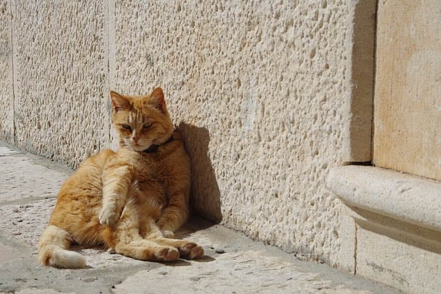 image Today&#8217;s weather: Sunny and warm
