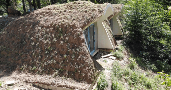 image Love of nature is key to save our environment &#8211; message from Alexander V Berenstain