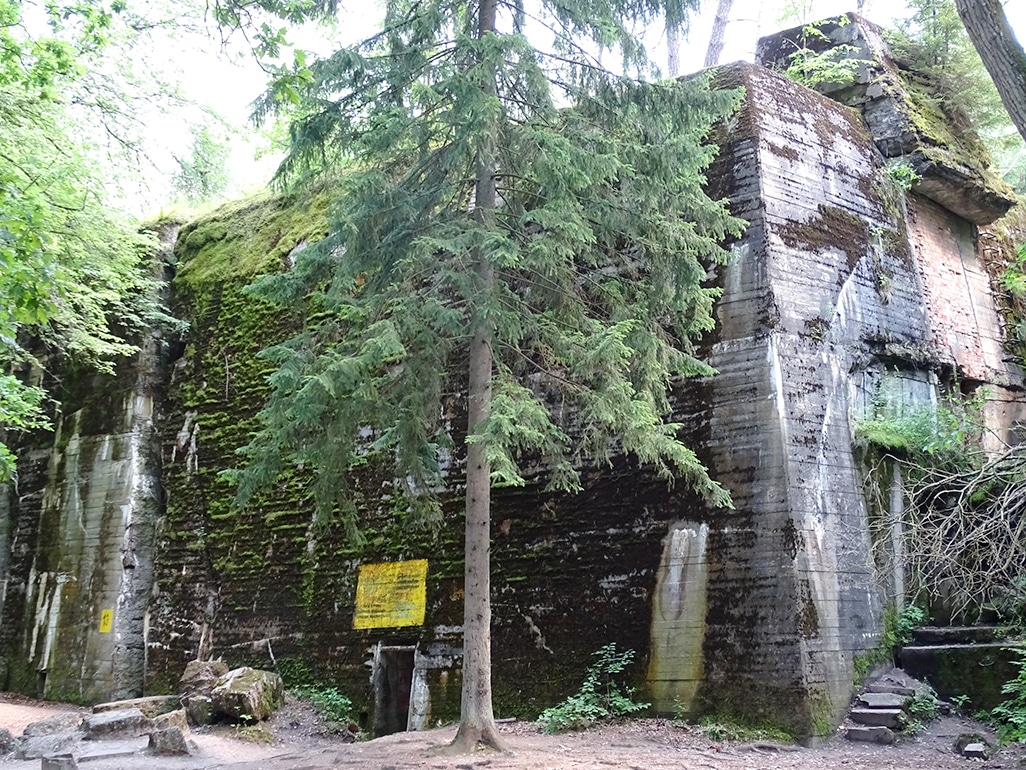 image Skeletons missing hands and feet found in Hitler&#8217;s Wolf&#8217;s Lair
