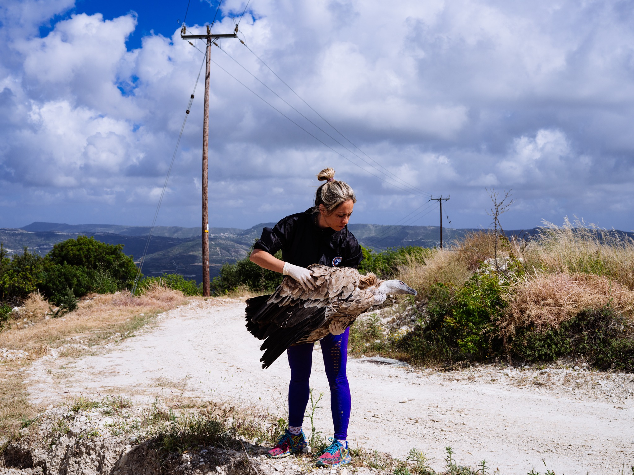 image From Akamas to vultures, a simple public warning