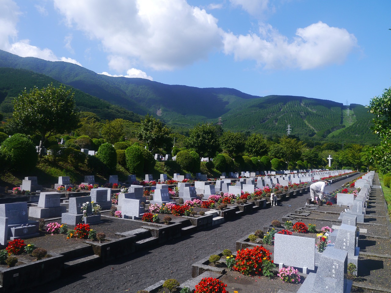 image Why cremation is due to replace burials in the next 20 years