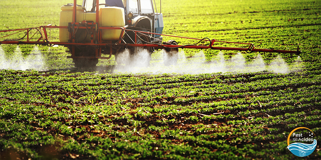 image We are what we eat: The dangers pesticides pose in the marine environment