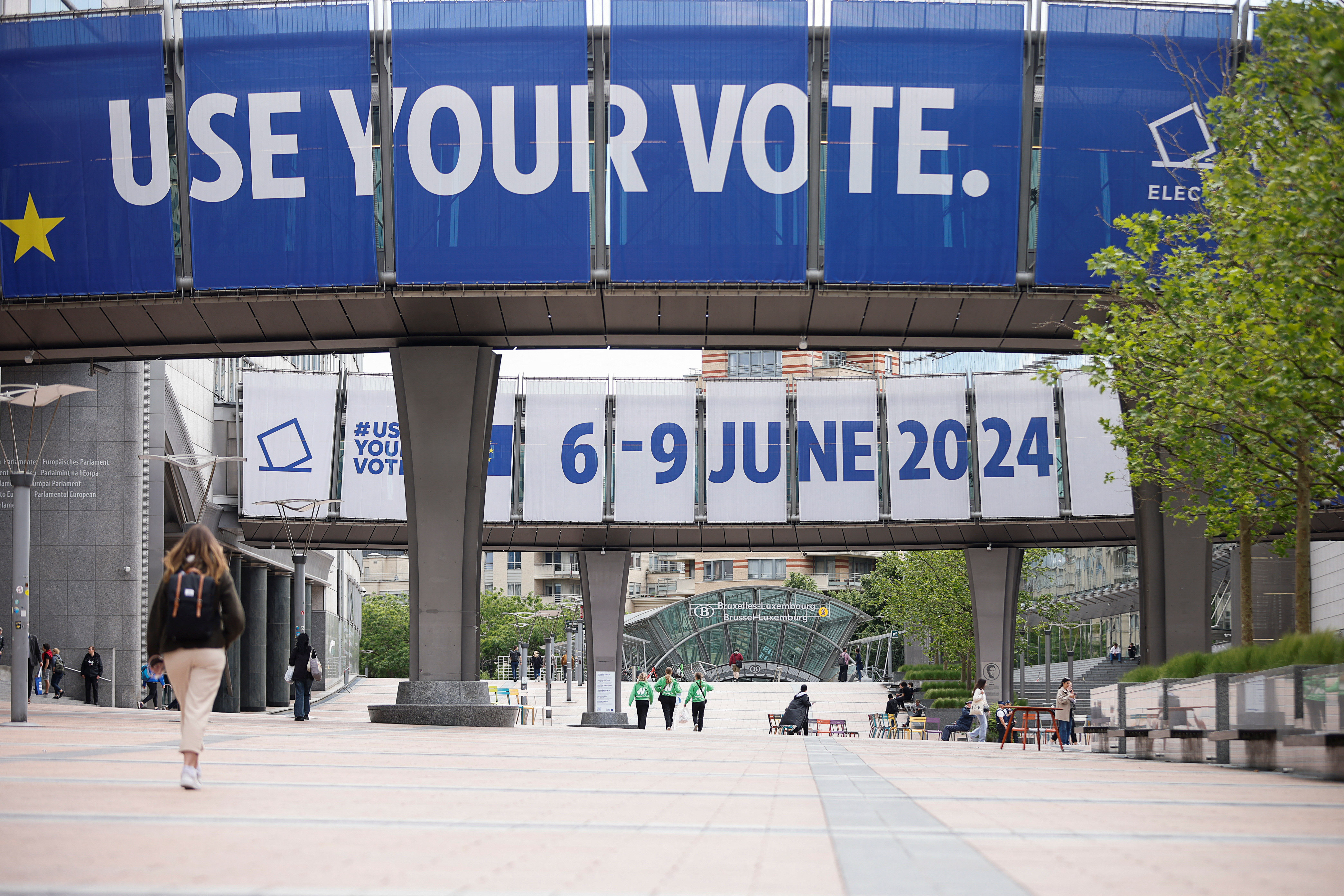 image From protest to power: Greta&#8217;s eco-warriors run for EU office