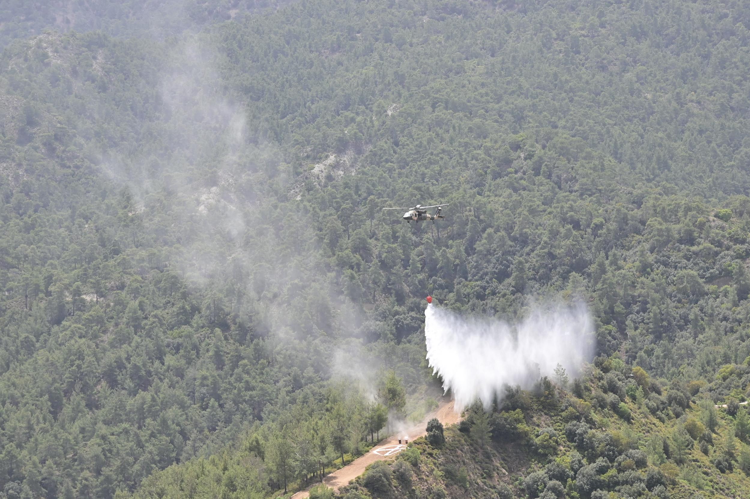 image Cyprus ready for wildfire season, says agriculture minister