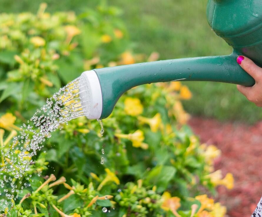 Gardening with Patricia Jordan