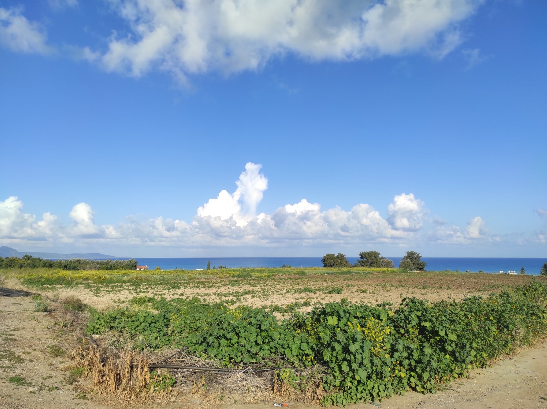 image Weather mostly clear, temperatures expected to rise
