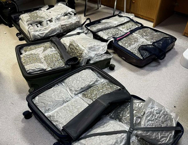 image Man remanded after being caught with drugs in luggage at airport
