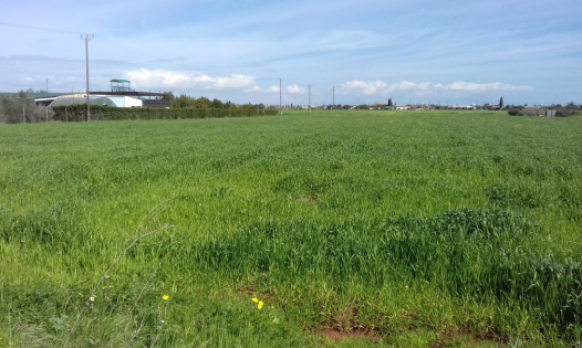 image THEMIS: Unique land opportunities with reserve prices up to €24,000 via electronic auction