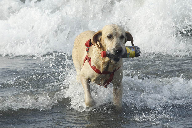 image Yellow weather warning, temps to dip over weekend
