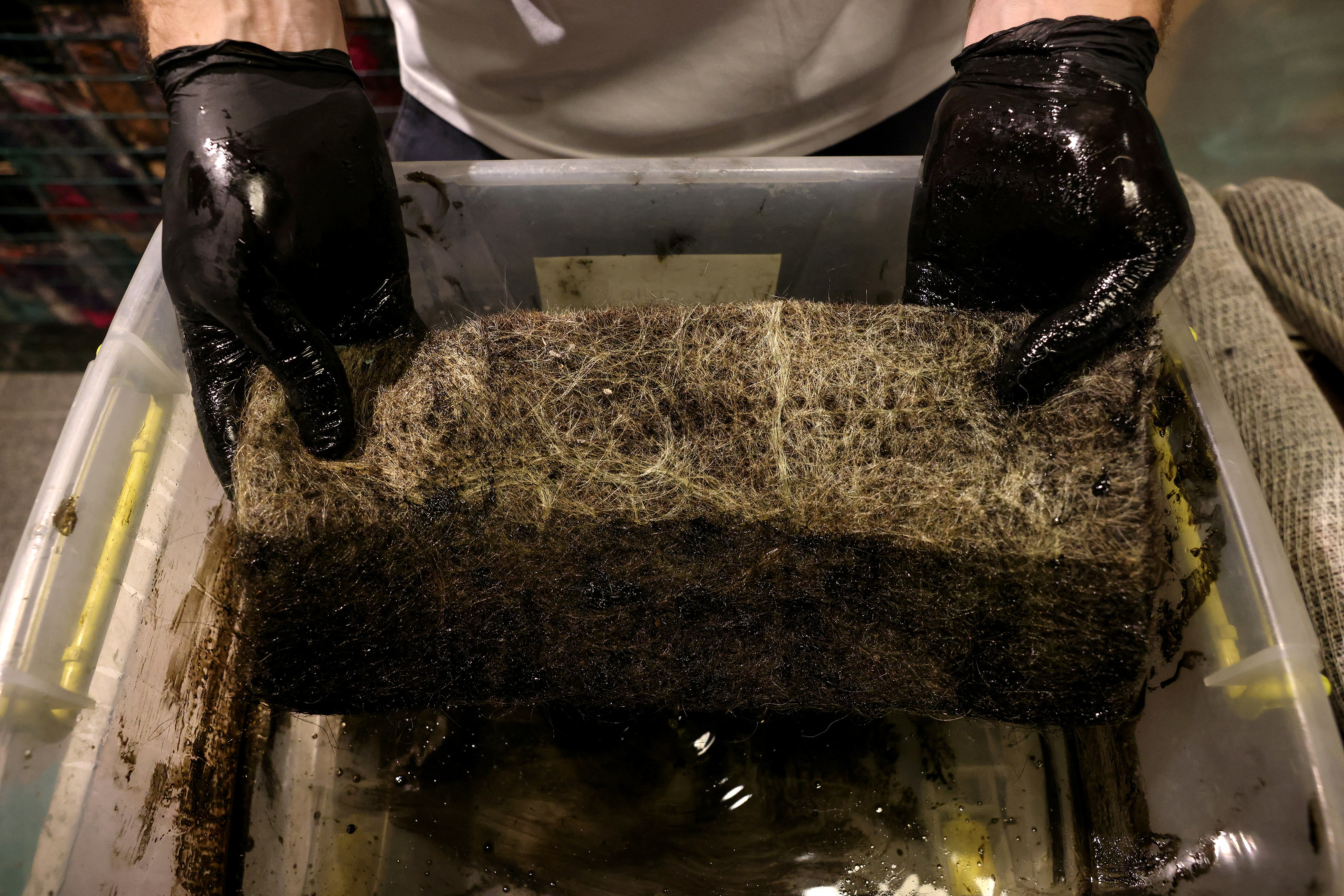 image Innovative Chileans use discarded hair to clean up coasts and waterways