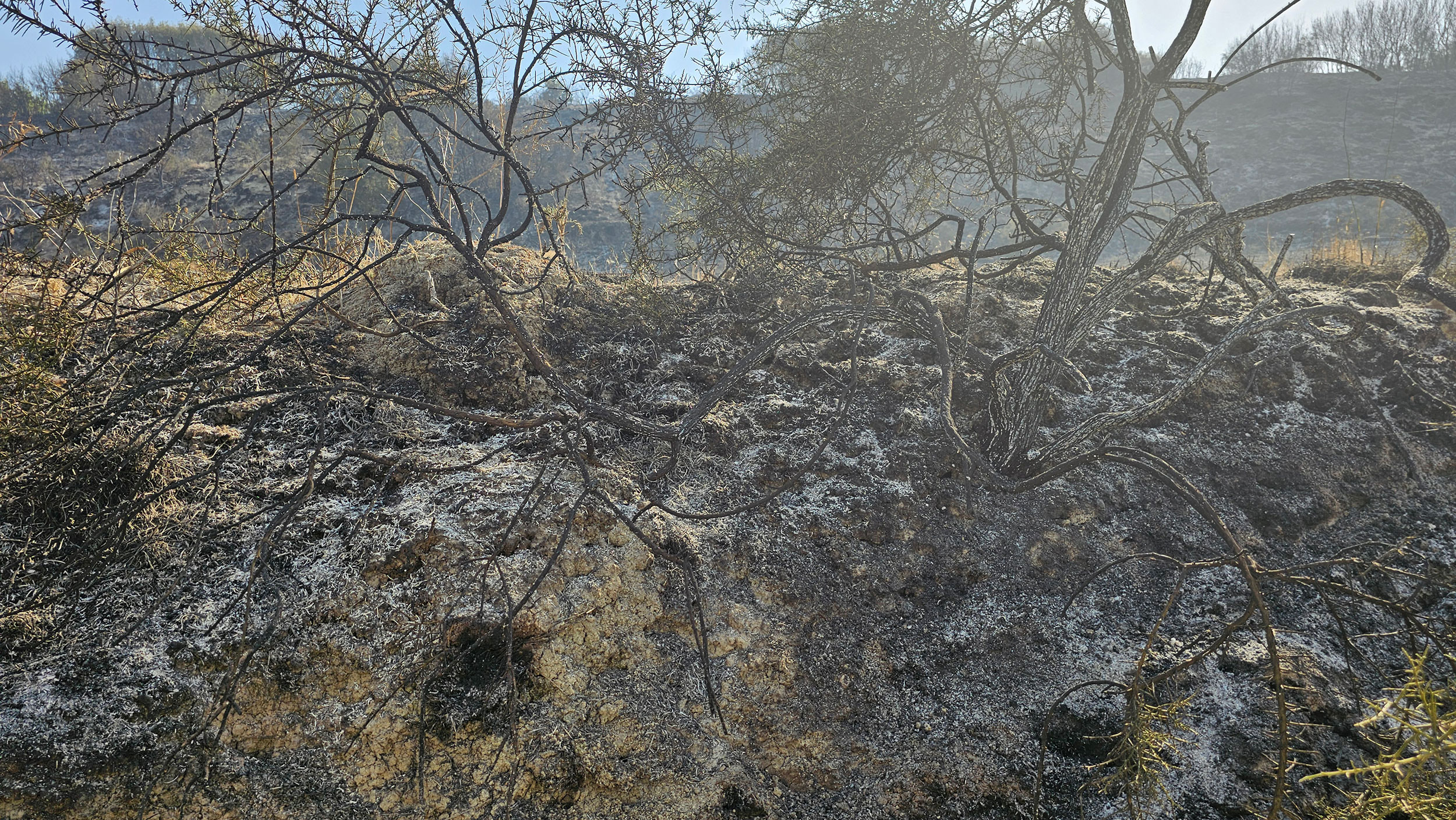 image &#8216;All we see is black,&#8217; Paphos residents mourn fire destruction (Update 4)