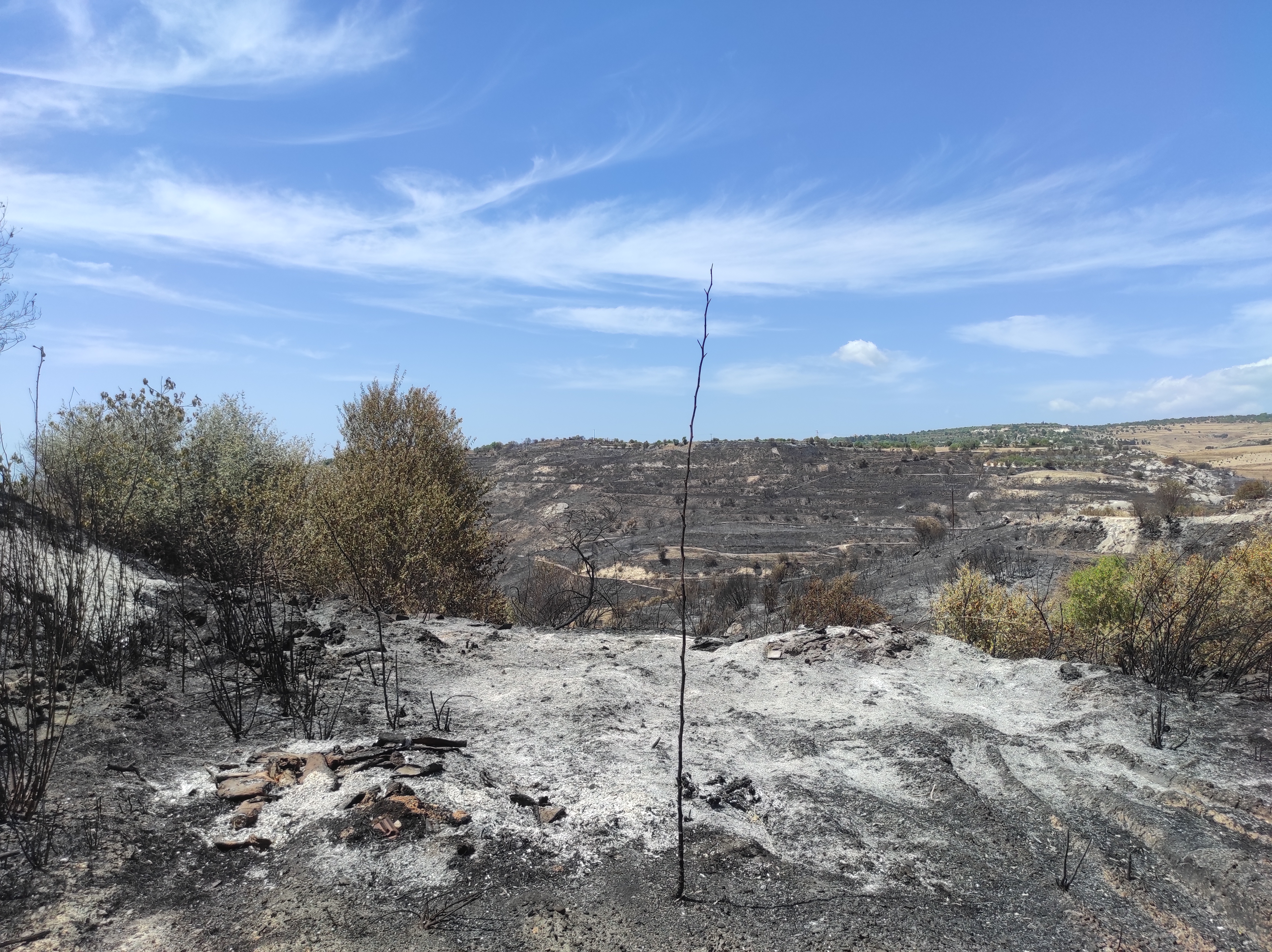 image EAC lambasted for fire-causing naked power cables