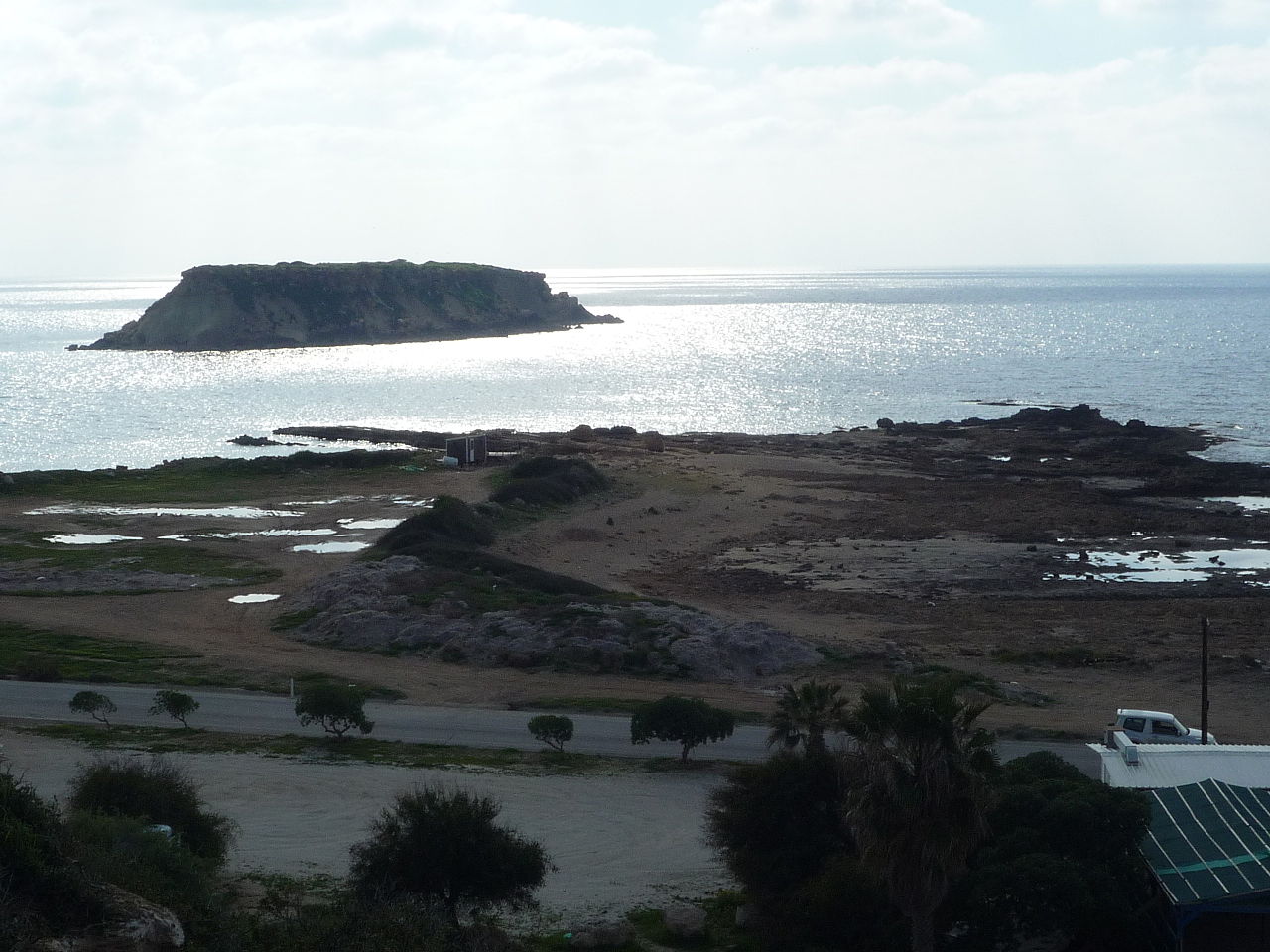 image American professor to be given honorary citizenship of Paphos