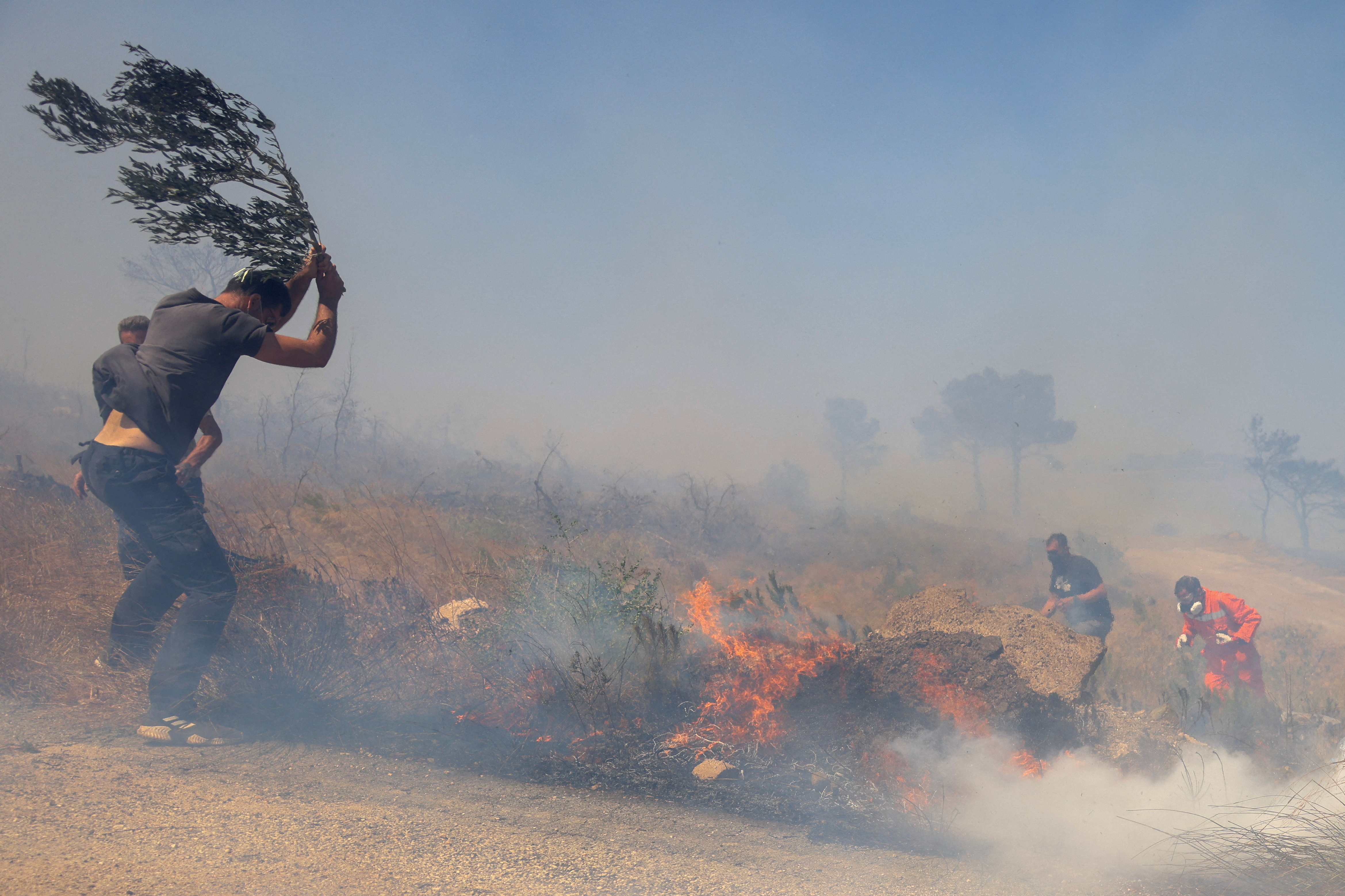 image Greek firefighters battle new wildfire near Athens amid strong winds