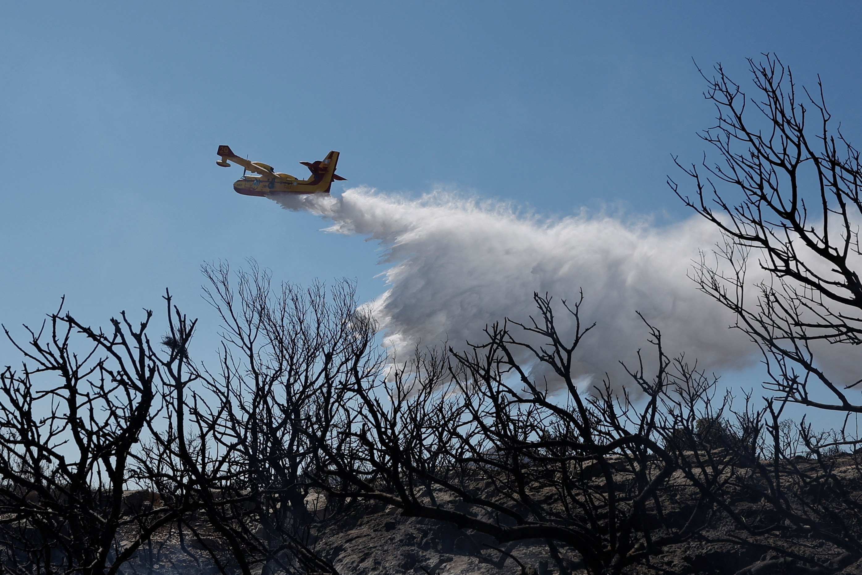 image Greece wildfire outside Athens fanned by strong winds