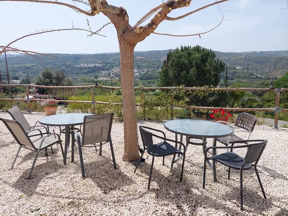 image Restaurant review: Stone Lion, Goudi, Paphos
