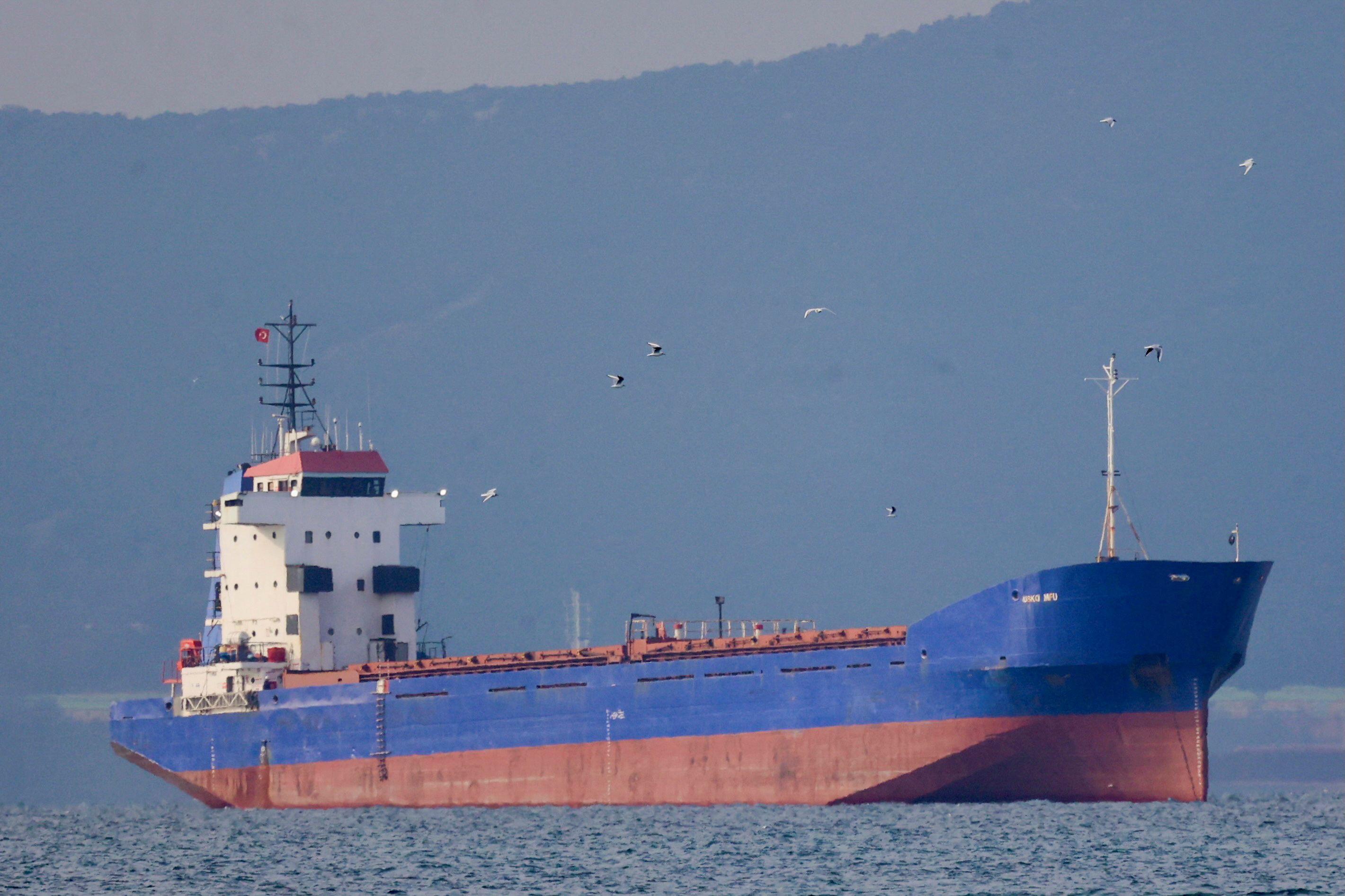 image Ukraine seizes cargo ship, detains captain for exporting &#8216;looted&#8217; grain