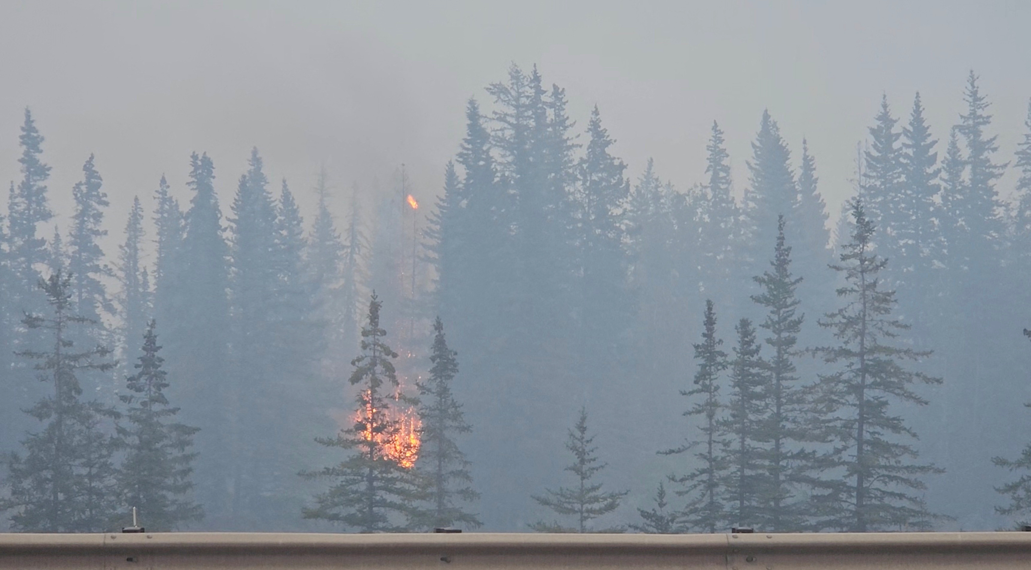 image Devastating wildfire burns down part of western Canadian tourist town