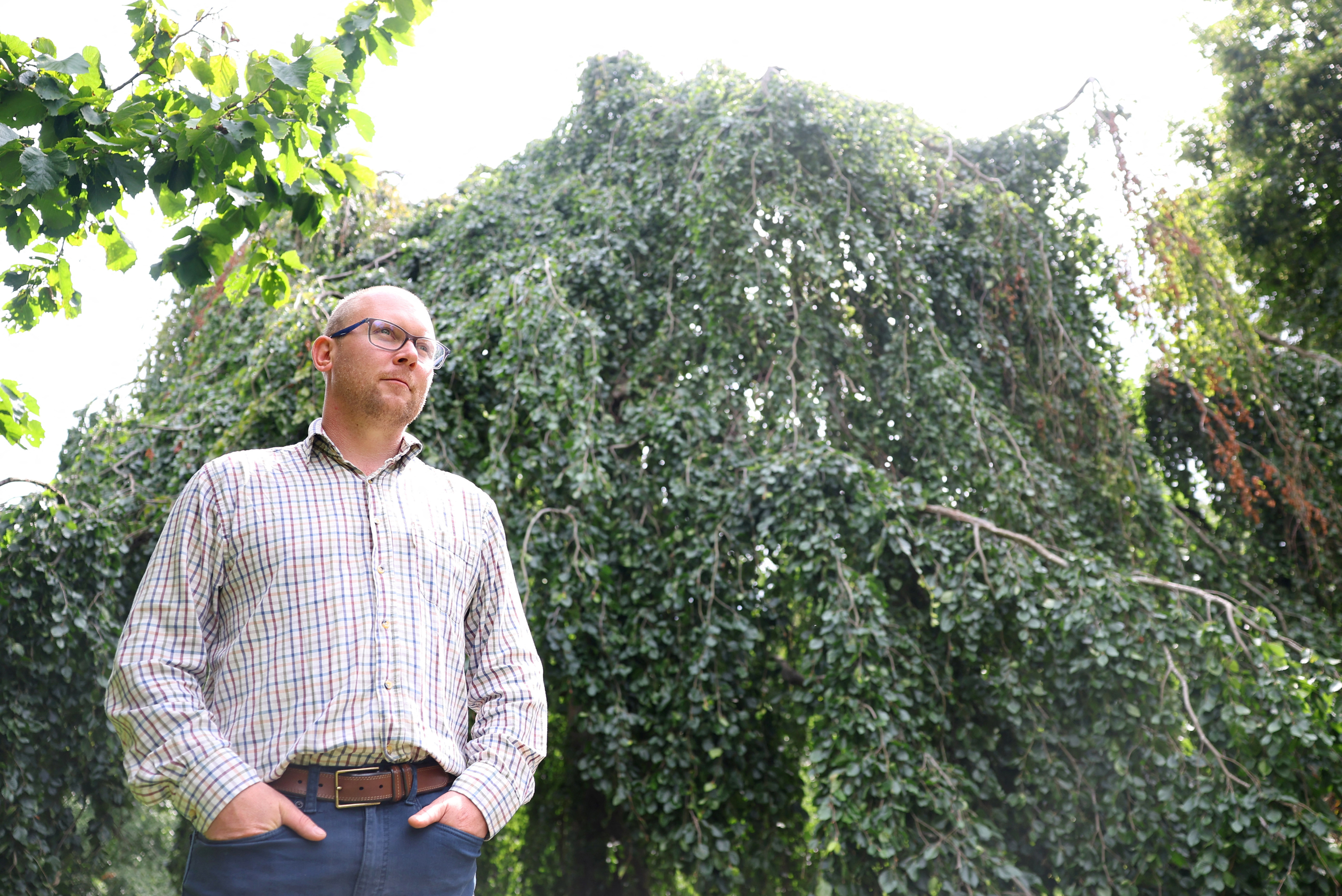 image Climate threat spurs London&#8217;s Kew Gardens to look for resilient trees